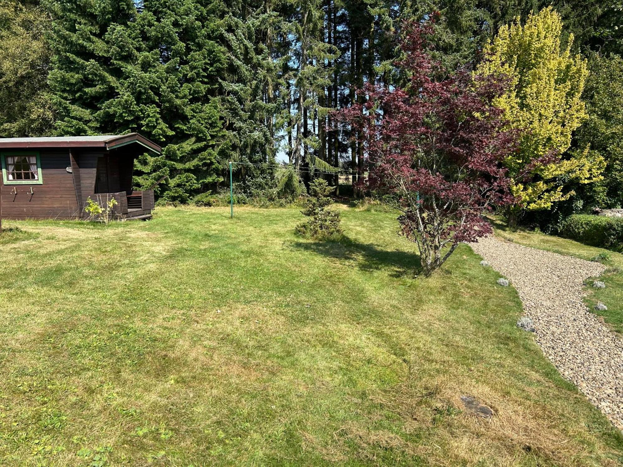 Bergwiesenblick38678 Clausthal-Zellerfeld Eksteriør billede