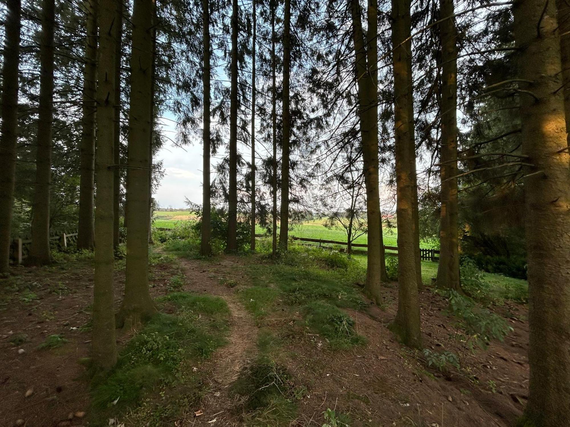 Bergwiesenblick38678 Clausthal-Zellerfeld Eksteriør billede